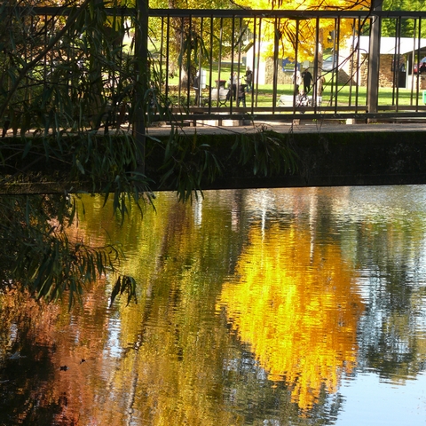 Yellow ReflectionPhotography by Jan Paatsch